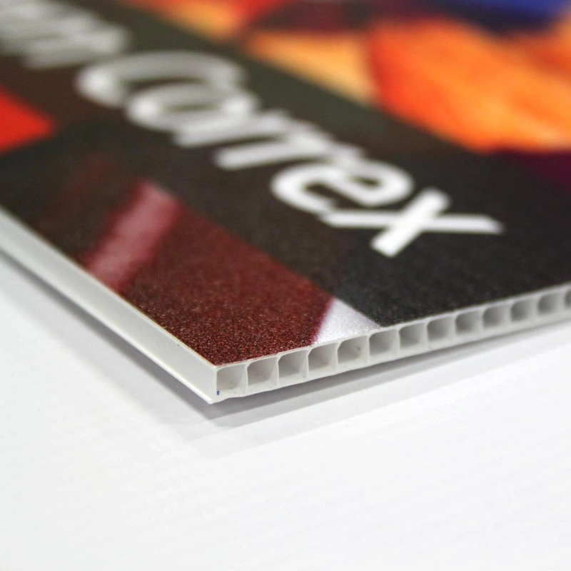 Correx & Foamex Boards